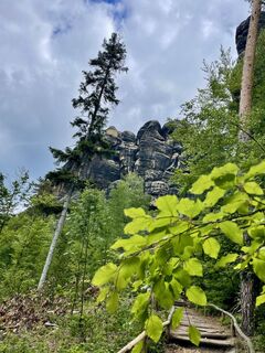 Foto van Steffen Gebhardt langs de tour