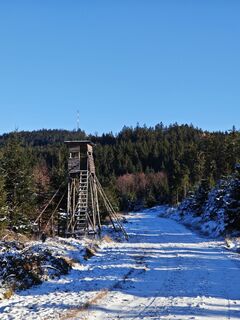 Photo de Jackson M. Frischauf le long du parcours