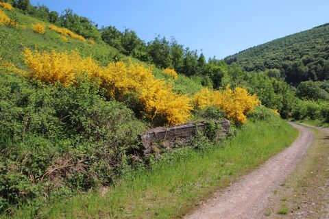 Zdjęcie z Günter Kleutsch wzdłuż trasy