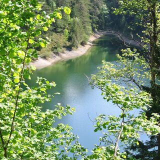Erlaufstausee