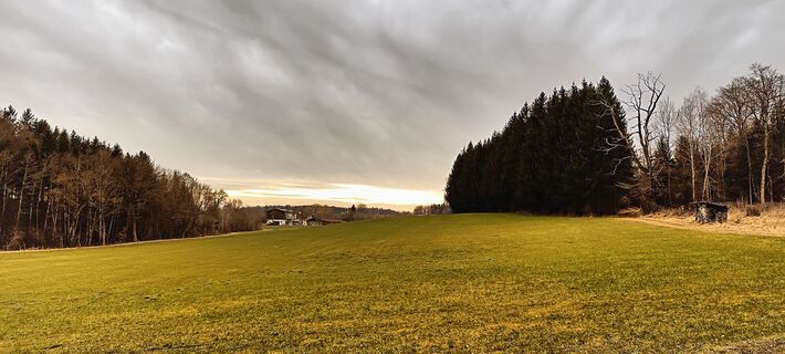 Jauchsdorf im Westen