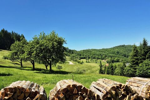 Idyllische Landschaft oberhalb von Steinach