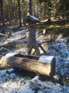 Foto de Ric Hard a lo largo del recorrido