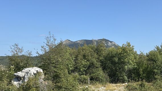 Photo de Broedi le long du parcours