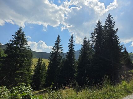 Fotografija s spletne strani MRDL na poti