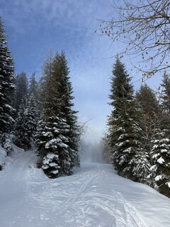 Zdjęcie z Franz hofner wzdłuż trasy