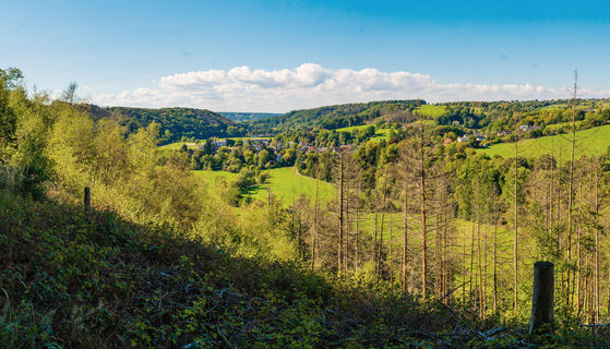 Derenbachtal Erlebnisweg Holzweg