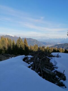 Foto från Dagmar Hofer under resans gång