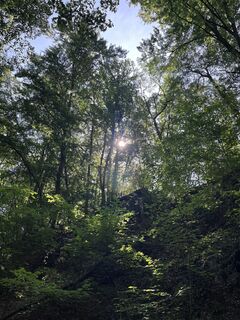 Fotografija s spletne strani Reka Ferenczy na poti