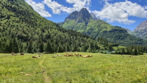 Fotografija s spletne strani Fabrizio Plesnizer na poti