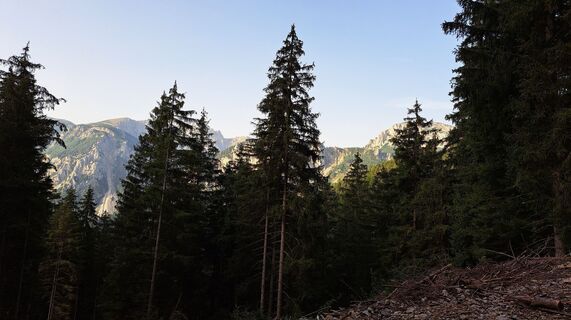 Photo de Anna Wilding le long du parcours