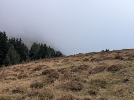 Foto von Sabrina Hackel entlang der Tour