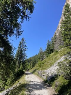 Fotografia z giannitognoni na trase