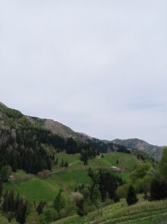 Foto de Aner a lo largo del recorrido