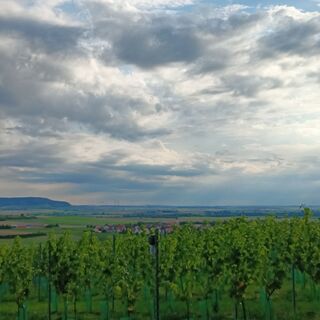Fotó a Susanne Poschner honlapról a túra során