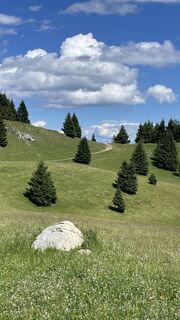 Photo de Erwin Terzer le long du parcours