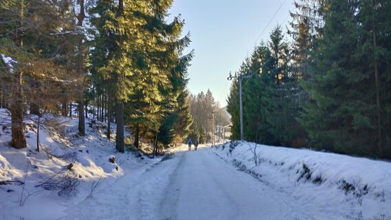 Photo de Jara D. le long du parcours