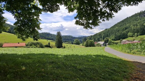 Foto von Márti entlang der Tour