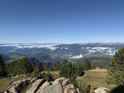 Foto från Frank de Vries under resans gång