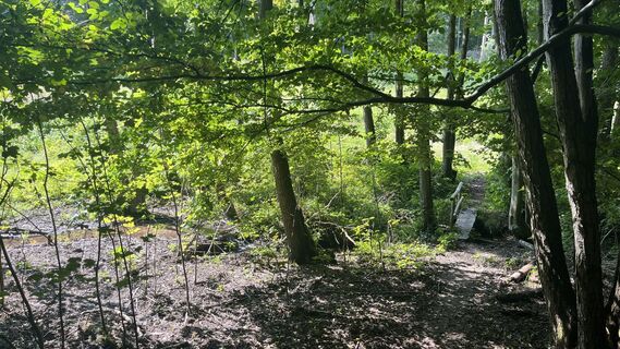 Fotografija s spletne strani Anita Geißler na poti