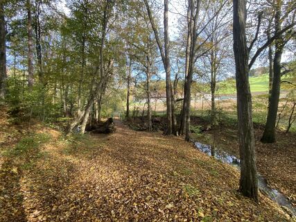 Photo de Biernase1 le long du parcours