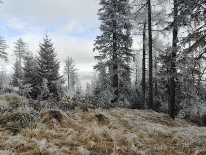 Fotografija s spletne strani Lena Eder na poti