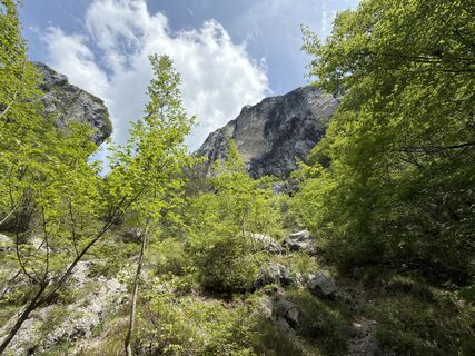 Foto von Frank Neumann entlang der Tour