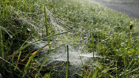 Fotografia z Reiner Schwarz na trase