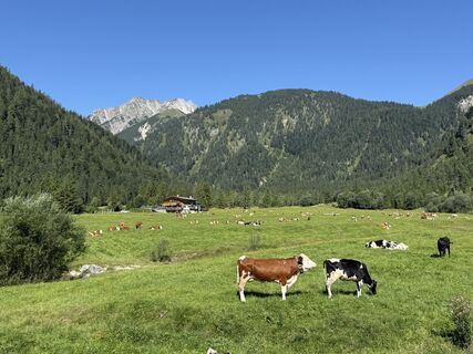 Foto de Slavko Bevanda a lo largo del recorrido