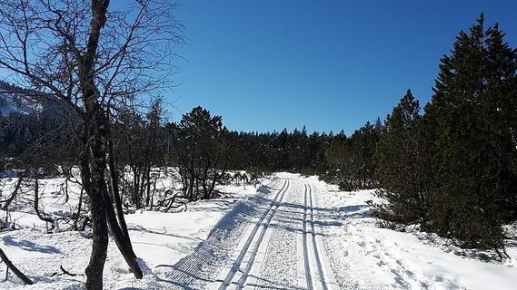 Langlaufloipe Bödele