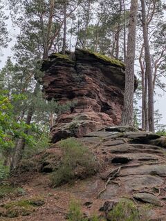 Foto von Zaphod entlang der Tour