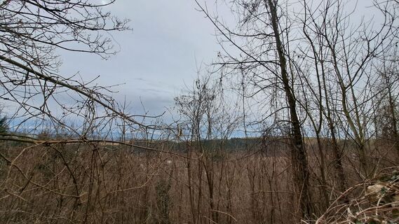 Foto fra Anita Lunzer 1 undervejs på turen