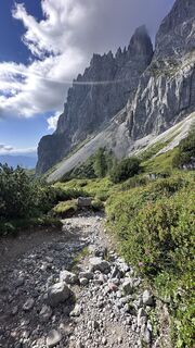 Photo de Mountain Cat ? ⛰️ le long du parcours