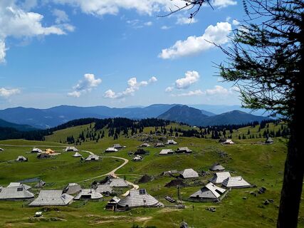Fotografie z brimo na trase