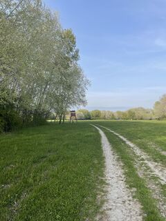 Foto von Bacskai János entlang der Tour