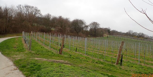 Aufstieg in der Lange Gasse