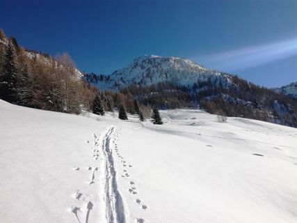 Blick auf Punta della Pessa