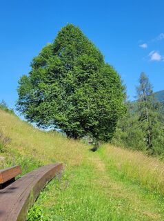Foto de Dunja Huemer a lo largo del recorrido