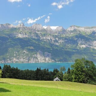 Panorama mit Churfirsten und Walensee