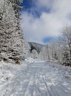 Photo de Angelika Poschinger-Reh le long du parcours