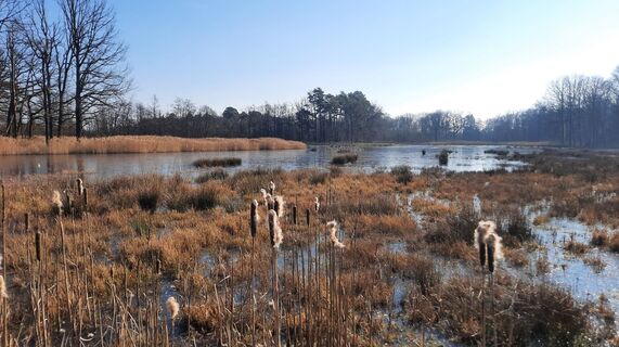 Foto von Enkidu55 entlang der Tour