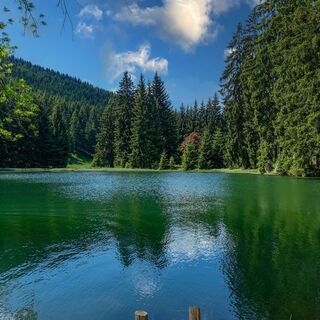 Langer Grunds Teich bei der Lütschetalsperre