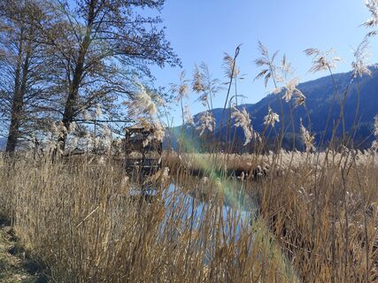 Fotografie de la Albin1958 de-a lungul turului