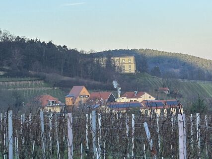 Photo de Thomas Gertz le long du parcours