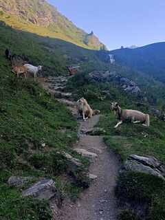 Foto von Jasi entlang der Tour