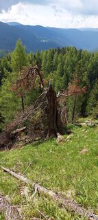 Fotografia z Herwig Kopp na trase