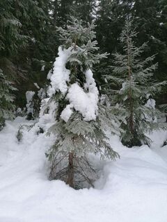 Fotó a Dagmar Hofer honlapról a túra során