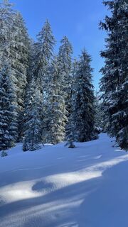 Fotografija s spletne strani Thomas Christen 1 na poti