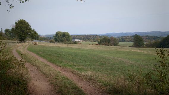 Foto von Bowoko entlang der Tour