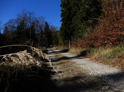 Unterberg